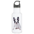 Pesquisar por do buldogue francês garrafa agua Engraçado