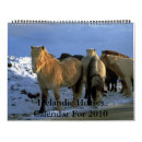 Pesquisar por cavalos calendarios Cavalo islandês