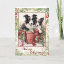 Pesquisar por vintage collie cartoes Animal