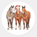Pesquisar por cavalo ocidental adesivos Engraçado