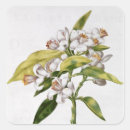 Pesquisar por julie adesivos Flores