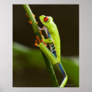 Pesquisar por tronco de árvore pôsteres pósteres Vida selvagem