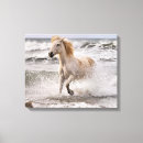 Pesquisar por selvagem de adam Camargue