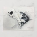 Pesquisar por pintura do gato cartoes postais Animal de estimação