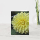 Pesquisar por golden era cartoes Flower