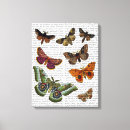 Pesquisar por placa impressão de canvas Animais