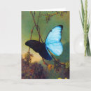 Pesquisar por morpho cartoes Blue morpho butterfly