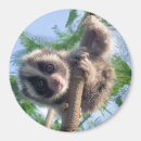 Pesquisar por psto imas Animal selvagem
