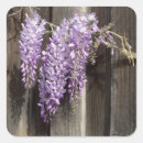 Pesquisar por sabedoria adesivos Flores