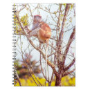 Pesquisar por macaco selvagem animais cadernos de notas Natureza