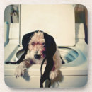 Pesquisar por estranho porta copos Humor