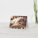 Pesquisar por ragdoll Animal