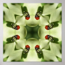 Pesquisar por ladybug pôsteres pósteres Para ela