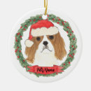 Pesquisar por cavalier ornamentos Cavaleiro charles spaniel