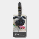 Pesquisar por raça cão pug acessorios Pugs