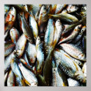 Pesquisar por posters dos peixes pôsteres pósteres Engraçado