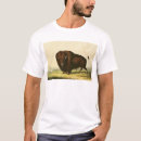 Pesquisar por bisonte americano roupas Catlin