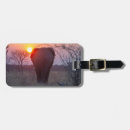 Pesquisar por elefante bagagem tags Fotografia de vida selvagem