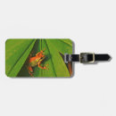 Pesquisar por horizontal bagagem tags Verde