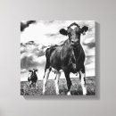 Pesquisar por vacas impressão de canvas Fazendas