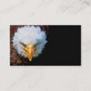 Pesquisar por águias americanas cartao de visita Calvo
