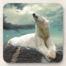 Pesquisar por urso branco porta copos Animal