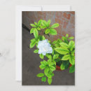 Pesquisar por gardenia cartoes Jardinagem