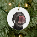 Pesquisar por nariz ornamentos Animal