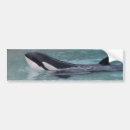 Pesquisar por baleia orca adesivos carros Oceano