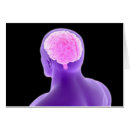 Pesquisar por sensorial cartoes postais Lobo