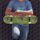Pesquisar por vacas skates Gado