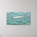 Pesquisar por selos impressão de canvas Oceano