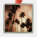 Pesquisar por américa central ornamentos Belize