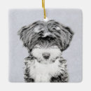 Pesquisar por tibetano ornamentos Terrier