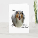 Pesquisar por canino natal cartoes Collie