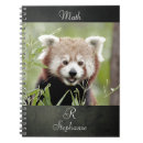 Pesquisar por panda cadernos de notas Natureza