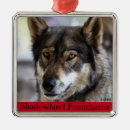 Pesquisar por lobo preto ornamentos Lobos