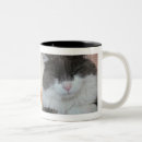 Pesquisar por mordido canecas Gatos