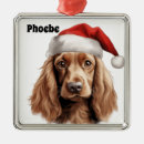 Pesquisar por de cocker spaniel ornamentos Feriado