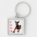 Pesquisar por o doberman chaveiros Cães