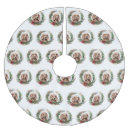 Pesquisar por cocker spaniel Natal