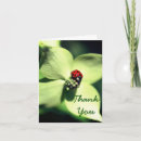 Pesquisar por ladybug cartoes Obrigado