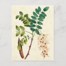 Pesquisar por rosas antigos cartoes postais Qualquer pessoa