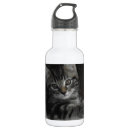 Pesquisar por gato engraçado garrafa agua Bonito