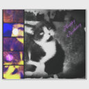 Pesquisar por smoking papel de presente Felino