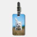 Pesquisar por imagem do cão bagagem tags Animais de estimação