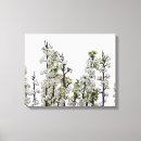 Pesquisar por pera de bradford Natureza