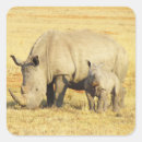 Pesquisar por rhino adesivos Rinoceronte