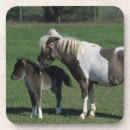 Pesquisar por diminuto porta copos Prumo langrish