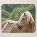 Pesquisar por cavalos do amor mantas Pônei